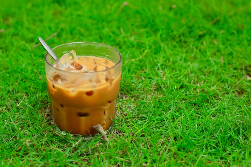 Rio Signature Cold Brew Coffee
